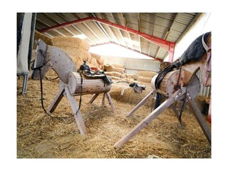 Ferienwohnung Schwienkuhl Außenaufnahme 10