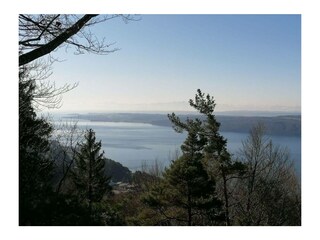 Ferienwohnung Bodman-Ludwigshafen Außenaufnahme 12