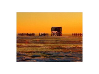 Ferienwohnung St. Peter-Ording Außenaufnahme 15