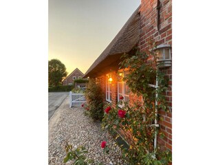 Ferienwohnung Oldsum auf Föhr Außenaufnahme 25