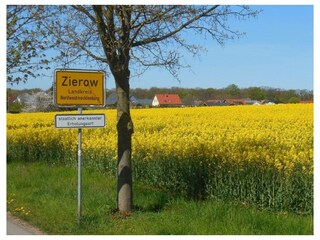 Ferienwohnung Zierow Außenaufnahme 22