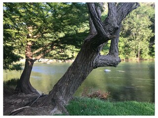 Ferienwohnung New Braunfels Außenaufnahme 3