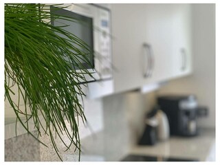 Ferienwohnung Hahnenklee Außenaufnahme 6