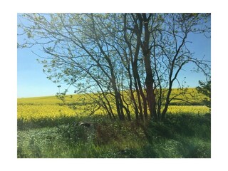 Ferienwohnung Lübow Außenaufnahme 20