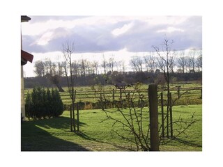 Ferienwohnung Lübow Außenaufnahme 23