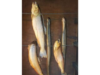 Ferienwohnung Zierow Außenaufnahme 21