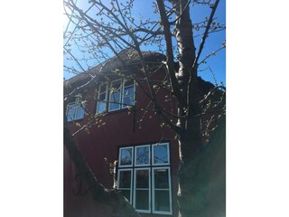 Ferienwohnung St. Peter-Ording Außenaufnahme 13