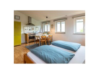 Ferienwohnung Hagnau am Bodensee Außenaufnahme 2