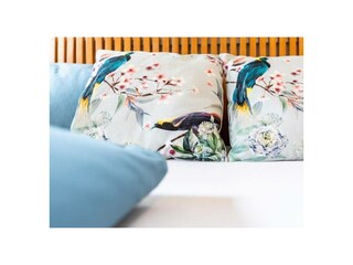 Ferienwohnung Hagnau am Bodensee Außenaufnahme 5