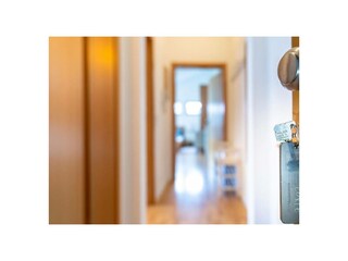 Ferienwohnung Hagnau am Bodensee Außenaufnahme 7