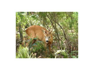 Casa per le vacanze Grayan-et-l'Hôpital Registrazione all'aperto 6