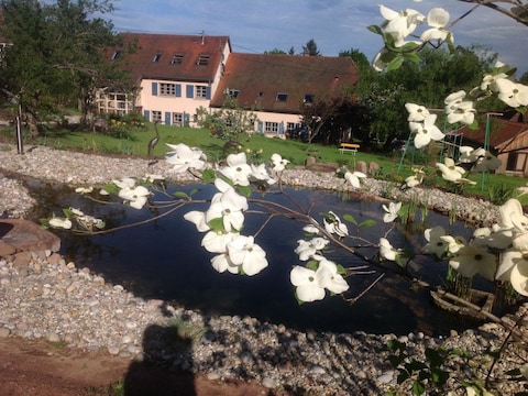 Vakantieappartement La Cocotte - "De Harten Aas"