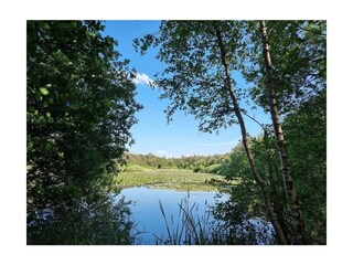 Ferienwohnung Sahlenburg Außenaufnahme 21