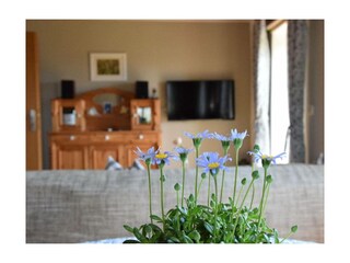 Ferienwohnung Enderndorf am See Außenaufnahme 1