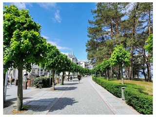 Ferienwohnung Binz Außenaufnahme 36