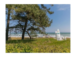 Ferienwohnung Binz Außenaufnahme 41