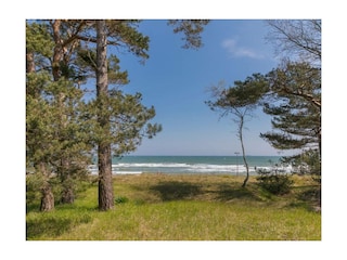 Ferienwohnung Binz Außenaufnahme 49