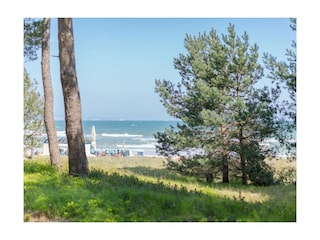 Ferienwohnung Binz Außenaufnahme 50