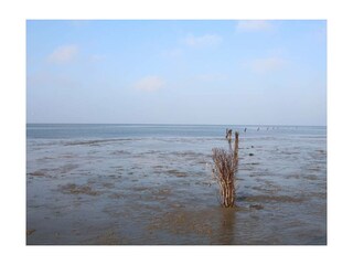 Ferienwohnung Sahlenburg Außenaufnahme 22