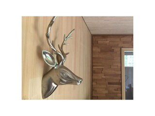 Ferienwohnung Hagnau am Bodensee Außenaufnahme 5