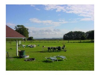 Ferienwohnung Born an der Darß Außenaufnahme 22