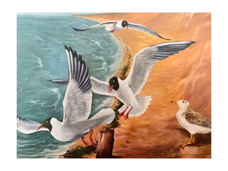 Ferienwohnung St. Peter-Ording Außenaufnahme 9