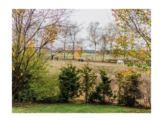 Ferienwohnung Hasselfelde Außenaufnahme 23