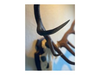 Ferienwohnung Hahnenklee Außenaufnahme 8