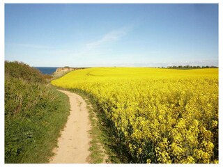 Ferienwohnung Boltenhagen Außenaufnahme 14