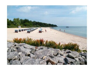 Ferienwohnung Boltenhagen Außenaufnahme 15