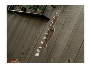 Ferienwohnung Vrouwenpolder Außenaufnahme 8