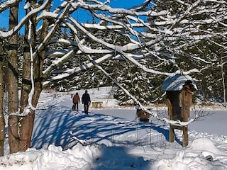 Vakantieappartement Hahnenklee  26