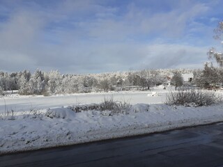 Appartamento per vacanze Hahnenklee Ambiente 25