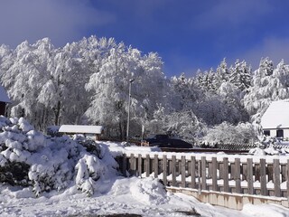 Appartamento per vacanze Hahnenklee Registrazione all'aperto 7