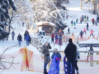 Apartamento de vacaciones Hahnenklee Entorno 22