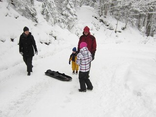 Appartamento per vacanze Hahnenklee Ambiente 21