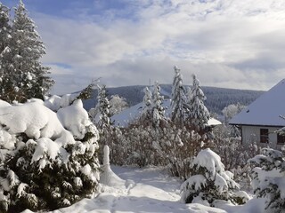 Appartamento per vacanze Hahnenklee  32