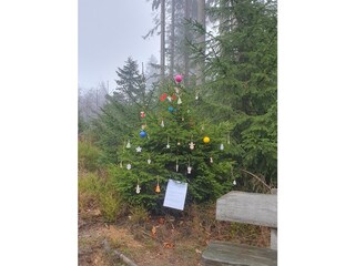 Appartamento per vacanze Hahnenklee Ambiente 30