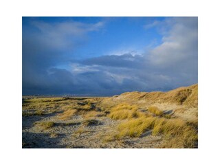 Ferienwohnung St. Peter-Ording Außenaufnahme 9