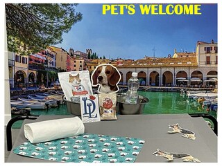 Ferienwohnung Desenzano del Garda Außenaufnahme 43