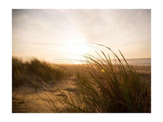 Ferienwohnung Tidofeld Außenaufnahme 13