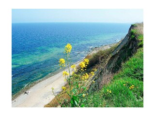 Ferienwohnung Boltenhagen Außenaufnahme 18