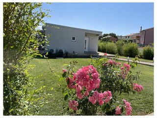 Ferienwohnung Pavićini Außenaufnahme 36