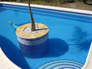 Der 9x4 m Pool mit Palmeninsel ...