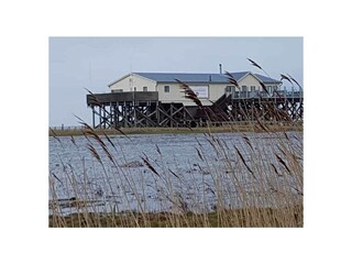 Ferienwohnung St. Peter-Ording Außenaufnahme 15