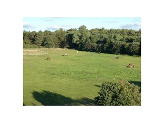 Ferienwohnung Sahlenburg Außenaufnahme 12