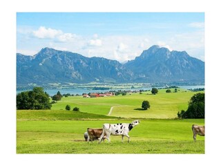 Ferienwohnung Lechbruck am See Außenaufnahme 16