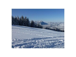 Ferienwohnung Lechbruck am See Außenaufnahme 17