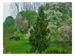 Ferienwohnung Sipplingen Außenaufnahme 18