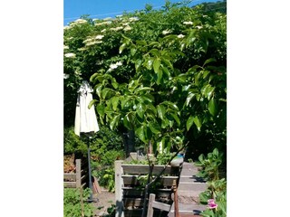 Ferienwohnung Sipplingen Außenaufnahme 23